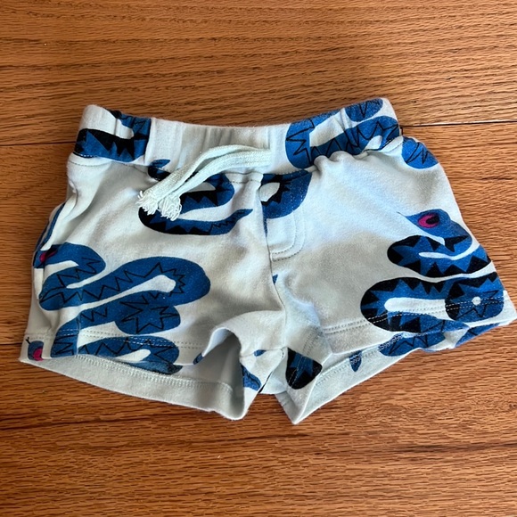 Snake print shorts! - Picture 1 of 2